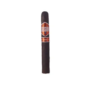 CAO SESSION  GARAGE